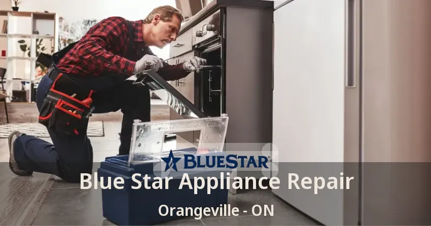 Blue Star Appliance Repair Orangeville - ON