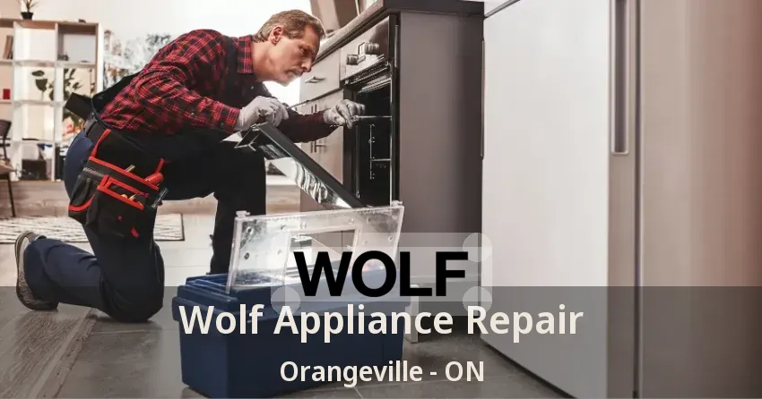 Wolf Appliance Repair Orangeville - ON