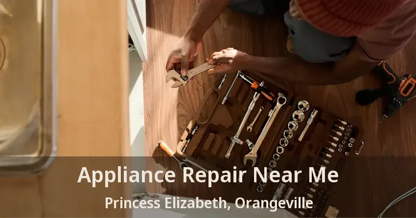 Appliance Repair Near Me Princess Elizabeth, Orangeville - ON