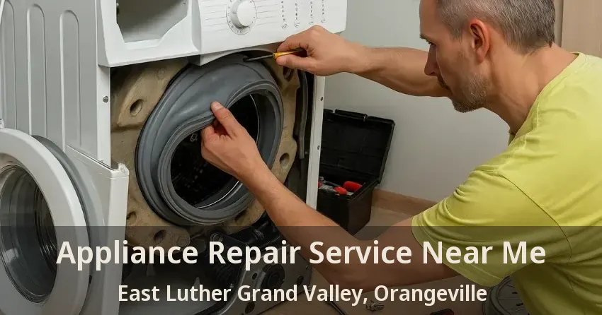 Appliance Repair Service Near Me East Luther Grand Valley, Orangeville - ON