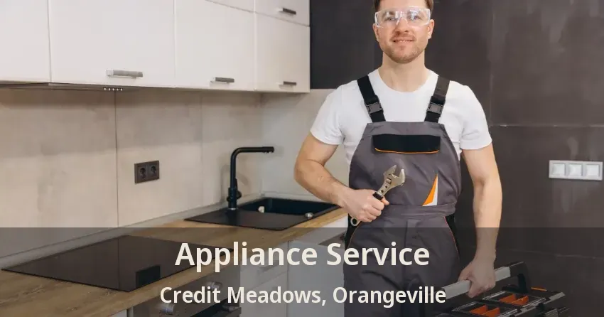 Appliance Service Credit Meadows, Orangeville - ON