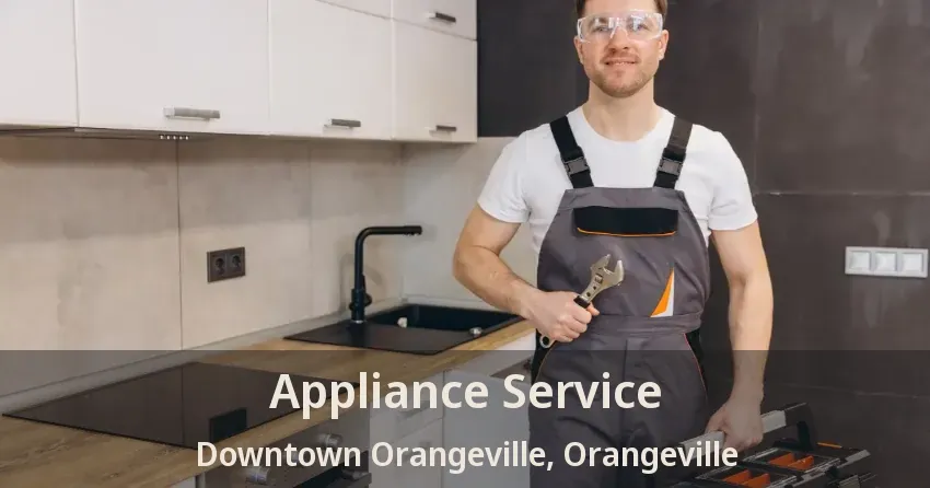 Appliance Service Downtown Orangeville, Orangeville - ON