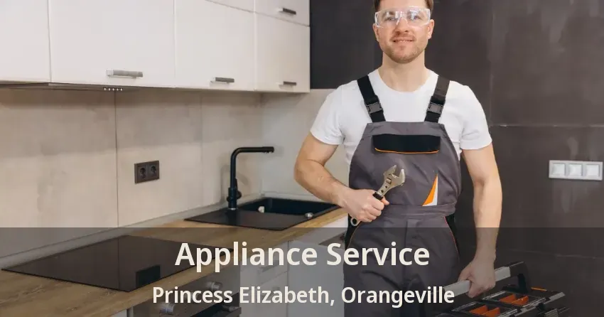 Appliance Service Princess Elizabeth, Orangeville - ON
