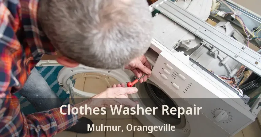 Clothes Washer Repair Mulmur, Orangeville - ON