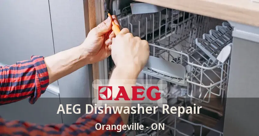 AEG Dishwasher Repair Orangeville - ON