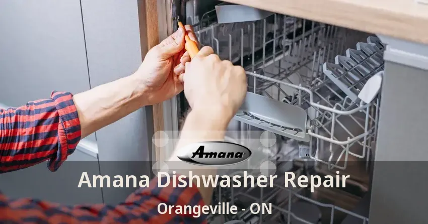 Amana Dishwasher Repair Orangeville - ON