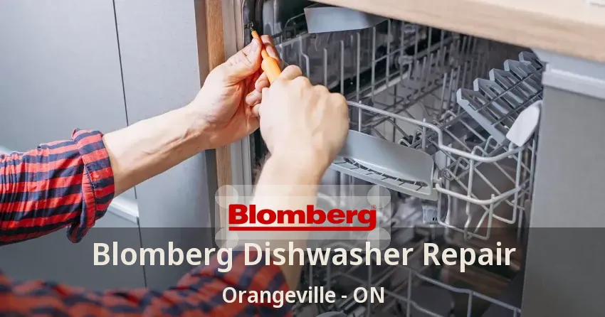 Blomberg Dishwasher Repair Orangeville - ON