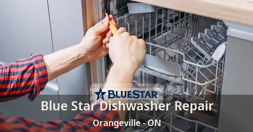 Blue Star Dishwasher Repair Orangeville - ON