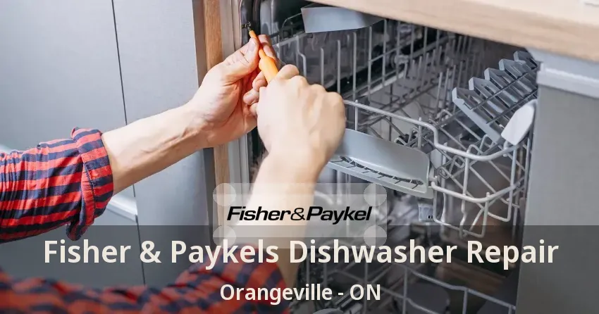 Fisher & Paykels Dishwasher Repair Orangeville - ON