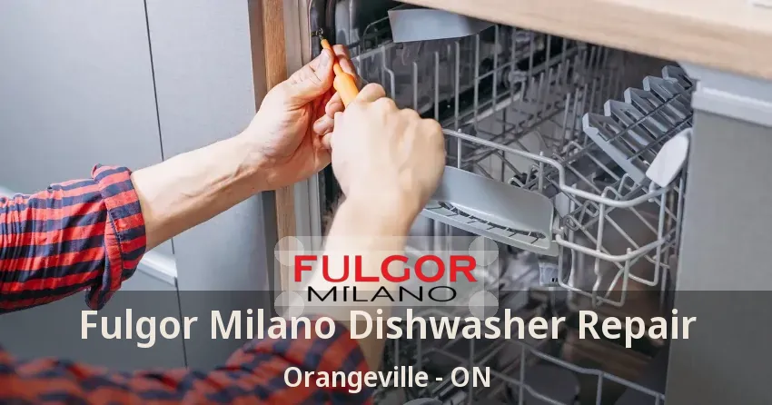 Fulgor Milano Dishwasher Repair Orangeville - ON