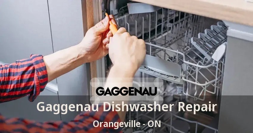 Gaggenau Dishwasher Repair Orangeville - ON