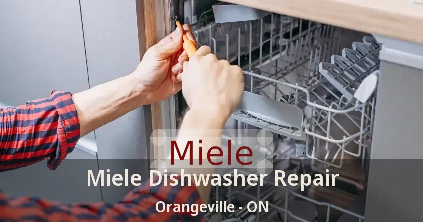 Miele Dishwasher Repair Orangeville - ON