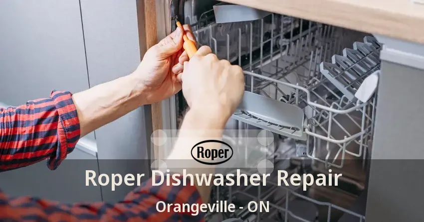 Roper Dishwasher Repair Orangeville - ON