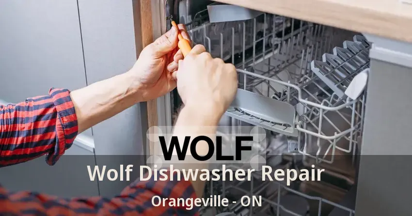 Wolf Dishwasher Repair Orangeville - ON