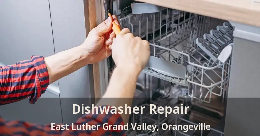 Dishwasher Repair East Luther Grand Valley, Orangeville - ON