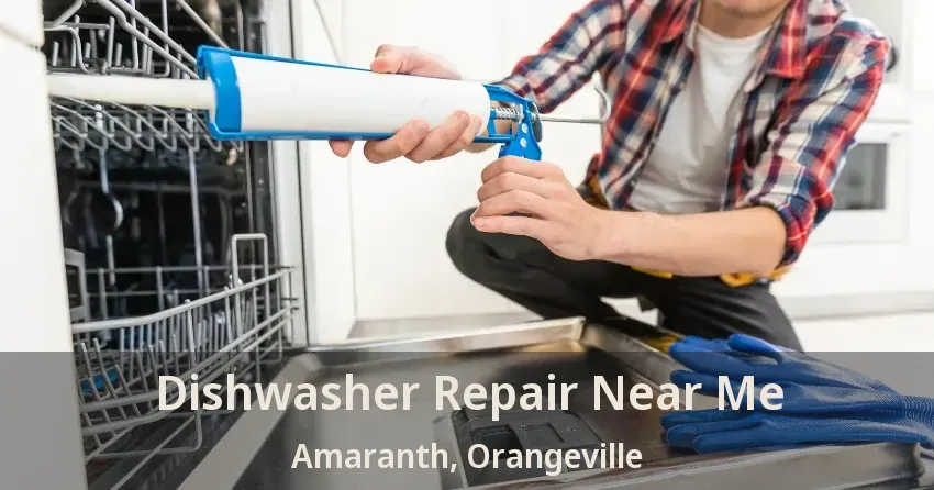 Dishwasher Repair Near Me Amaranth, Orangeville - ON