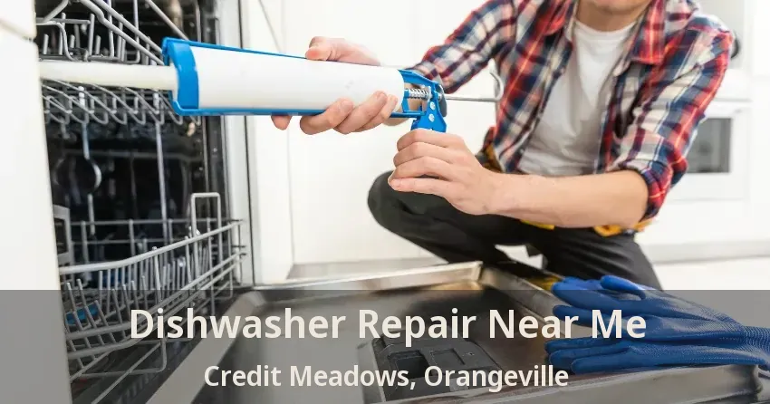 Dishwasher Repair Near Me Credit Meadows, Orangeville - ON