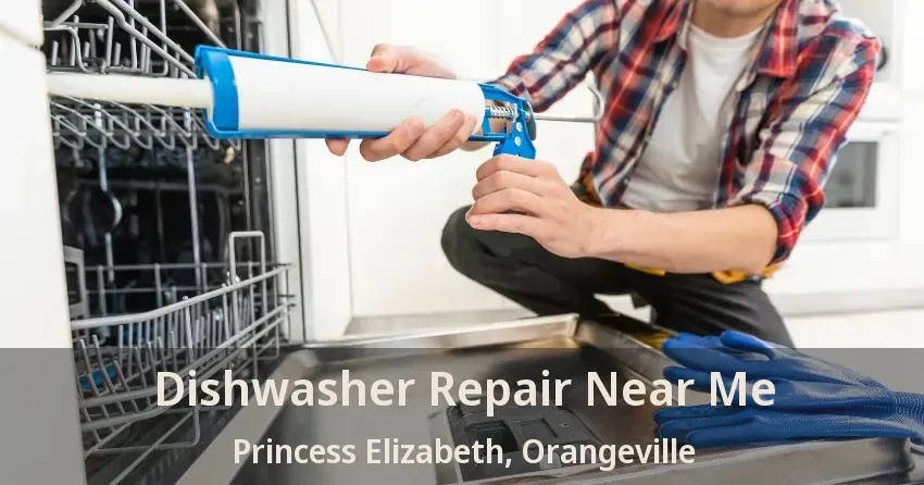 Dishwasher Repair Near Me Princess Elizabeth, Orangeville - ON