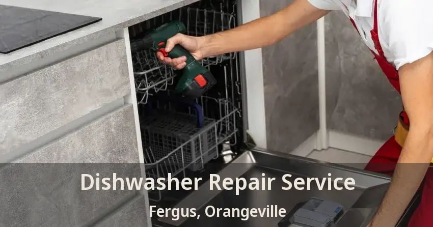 Dishwasher Repair Service Fergus, Orangeville - ON