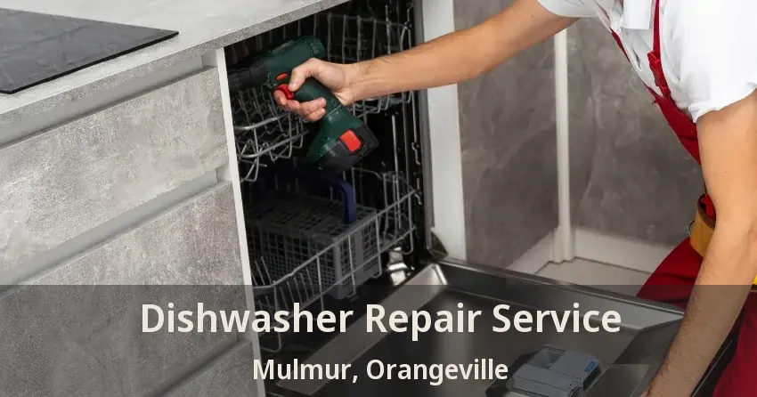Dishwasher Repair Service Mulmur, Orangeville - ON