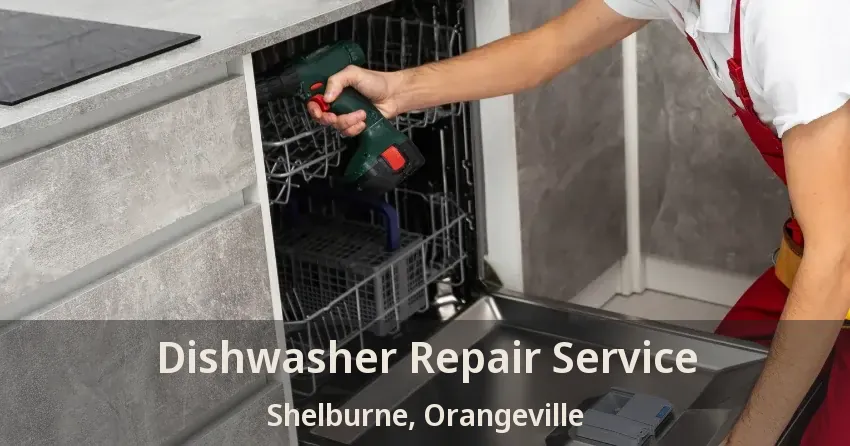 Dishwasher Repair Service Shelburne, Orangeville - ON