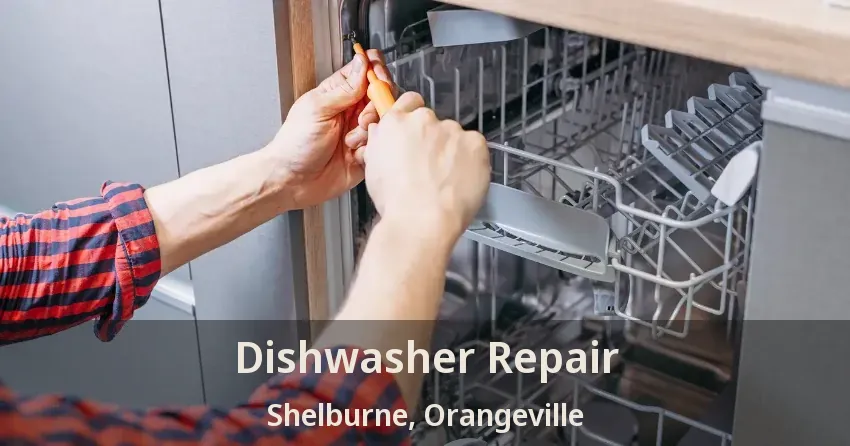 Dishwasher Repair Shelburne, Orangeville - ON