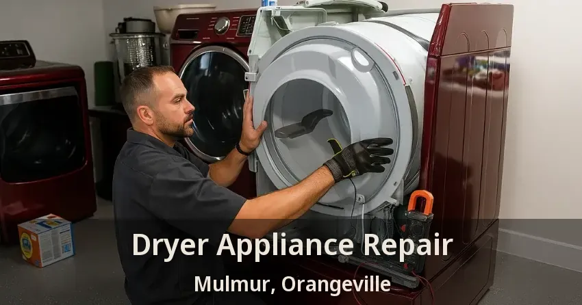 Dryer Appliance Repair Mulmur, Orangeville - ON