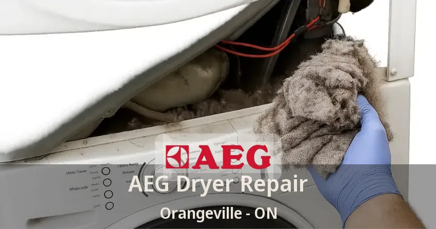 AEG Dryer Repair Orangeville - ON