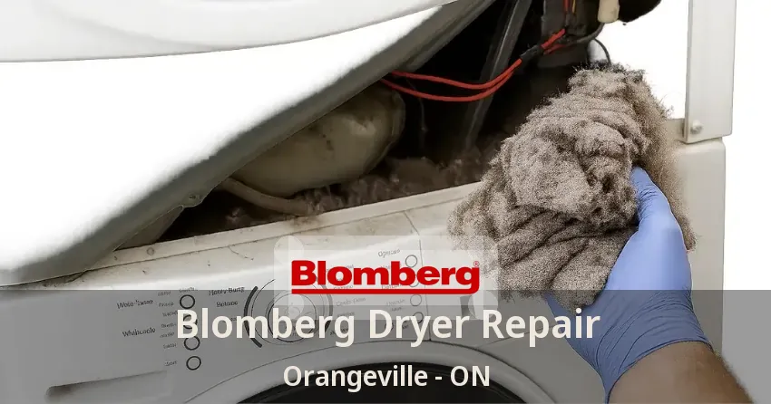 Blomberg Dryer Repair Orangeville - ON