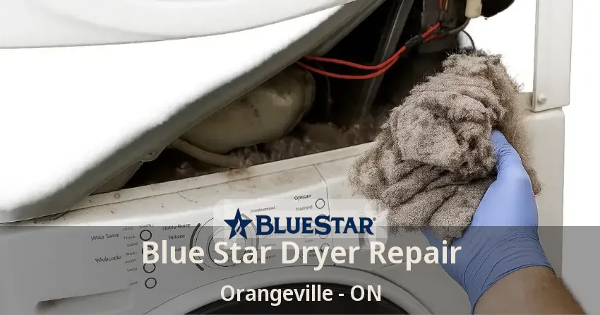 Blue Star Dryer Repair Orangeville - ON
