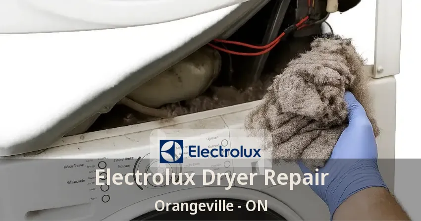 Electrolux Dryer Repair Orangeville - ON