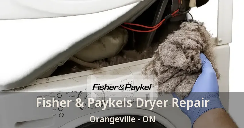 Fisher & Paykels Dryer Repair Orangeville - ON