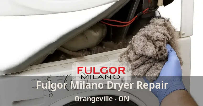 Fulgor Milano Dryer Repair Orangeville - ON