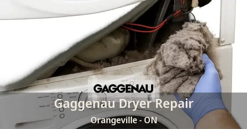 Gaggenau Dryer Repair Orangeville - ON
