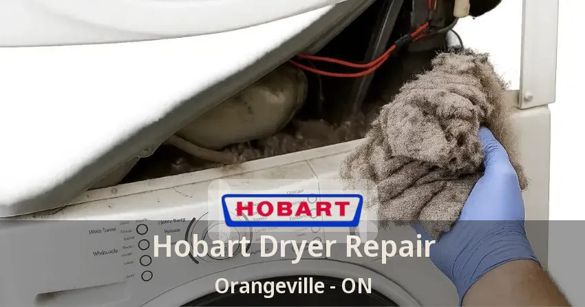 Hobart Dryer Repair Orangeville - ON