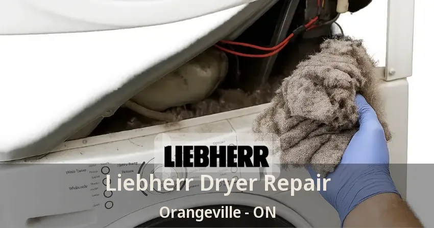 Liebherr Dryer Repair Orangeville - ON