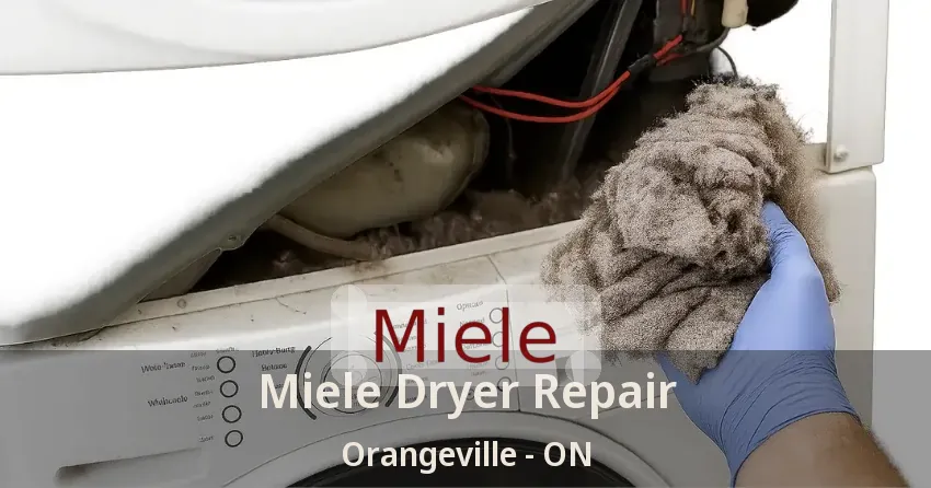 Miele Dryer Repair Orangeville - ON