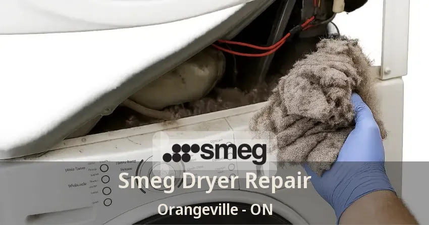 Smeg Dryer Repair Orangeville - ON