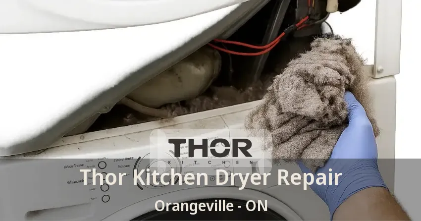 Thor Kitchen Dryer Repair Orangeville - ON