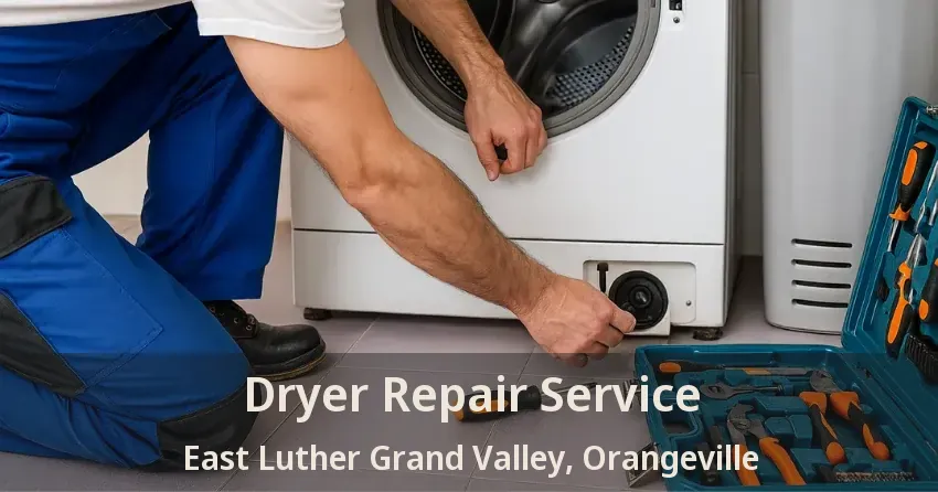 Dryer Repair Service East Luther Grand Valley, Orangeville - ON