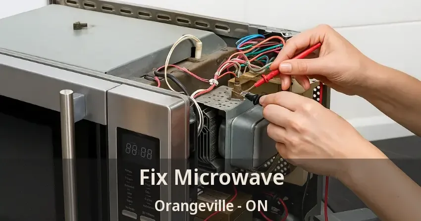 Fix Microwave Orangeville - ON