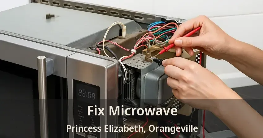 Fix Microwave Princess Elizabeth, Orangeville - ON