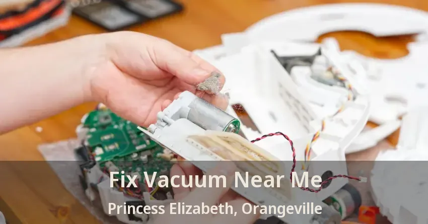 Fix Vacuum Near Me Princess Elizabeth, Orangeville - ON
