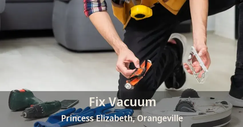 Fix Vacuum Princess Elizabeth, Orangeville - ON