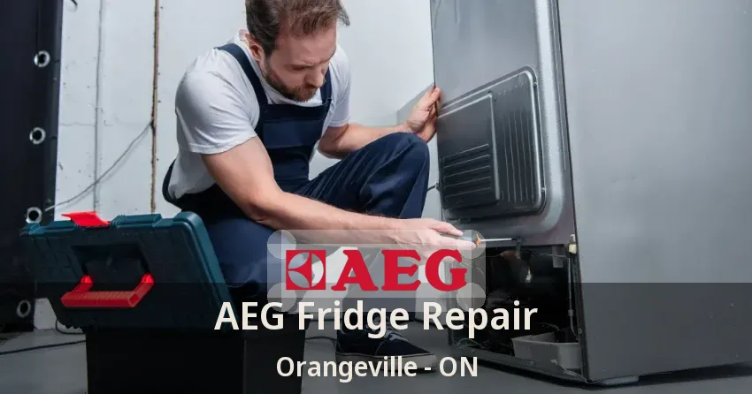 AEG Fridge Repair Orangeville - ON