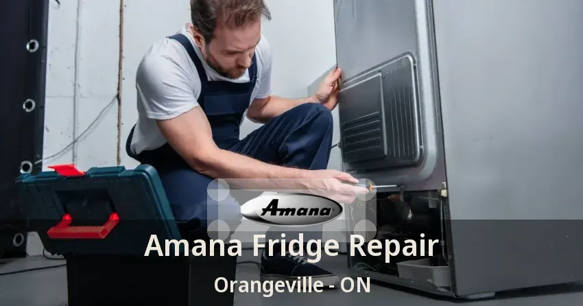 Amana Fridge Repair Orangeville - ON