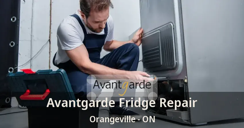 Avantgarde Fridge Repair Orangeville - ON