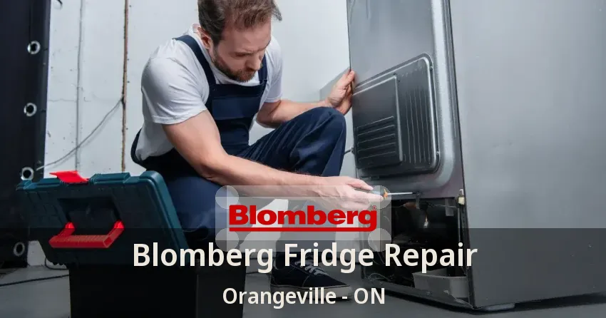 Blomberg Fridge Repair Orangeville - ON