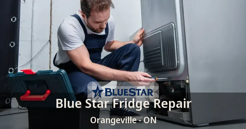 Blue Star Fridge Repair Orangeville - ON
