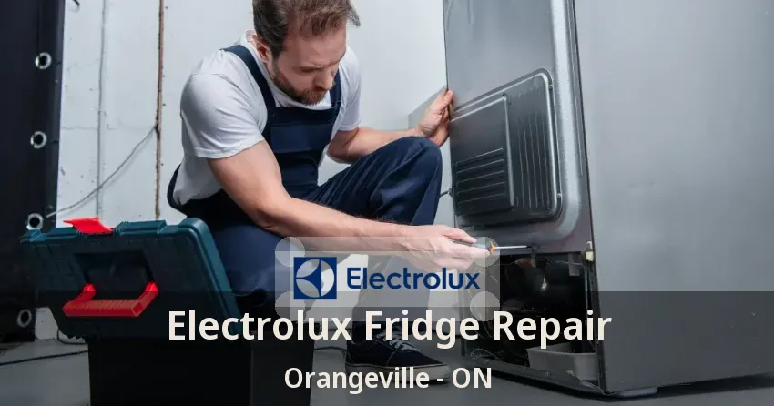 Electrolux Fridge Repair Orangeville - ON